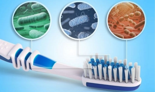 Чистая ли ваша зубная щетка?
